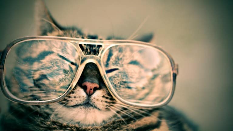 7 Tiny Habits That Will Take Overwhelm Out Of Your Day