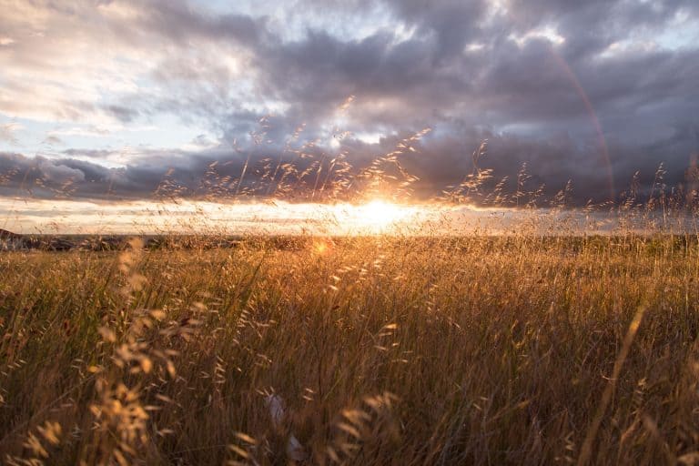 How to Start Over In Life When You Feel Stuck