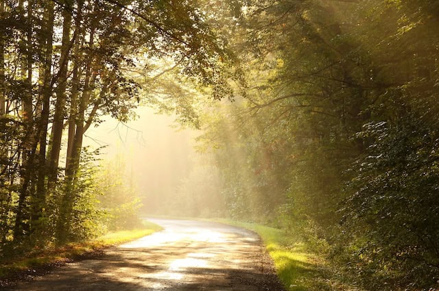 This Is For Anyone Who Feels Lost